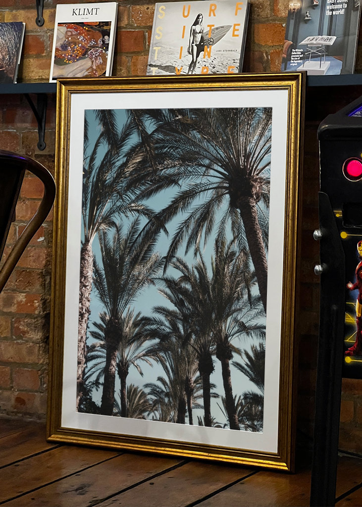 Palm Tree Jungle #1 #tropical 