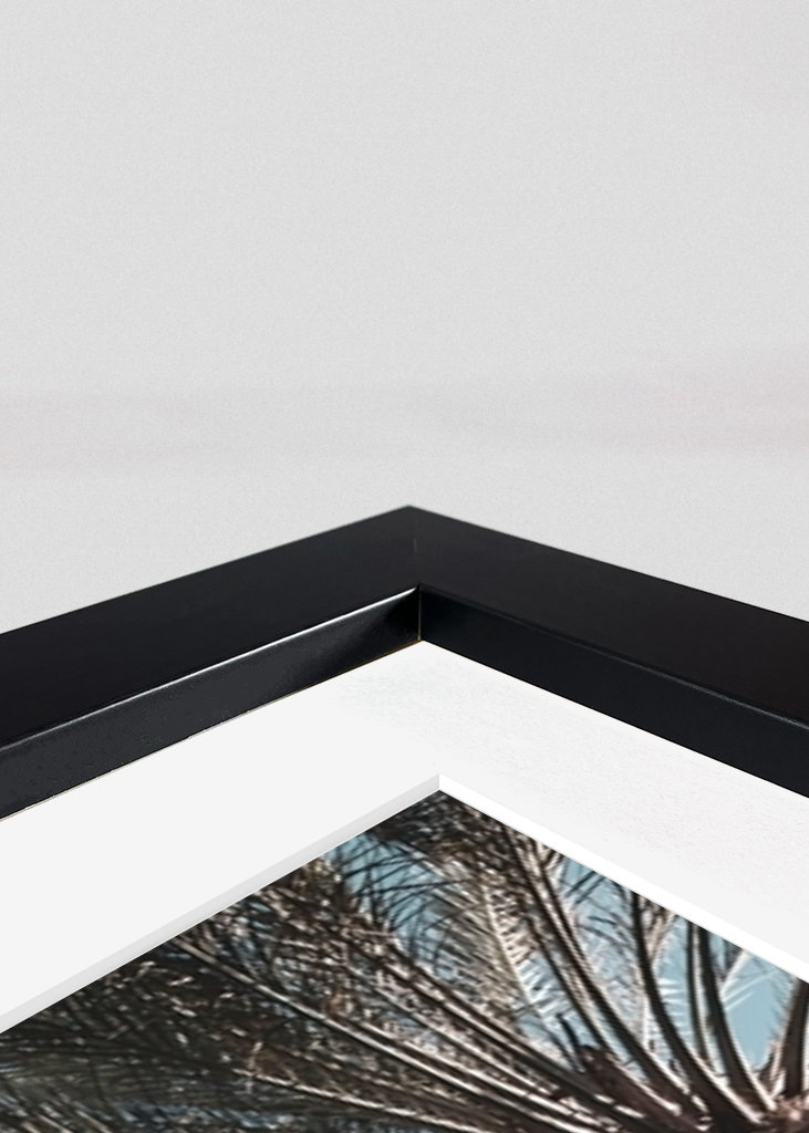 Palm Tree Jungle #1 #tropical 