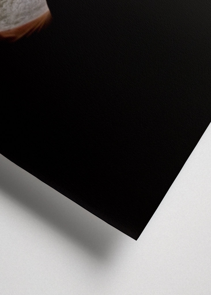 I've got the moon in my hands