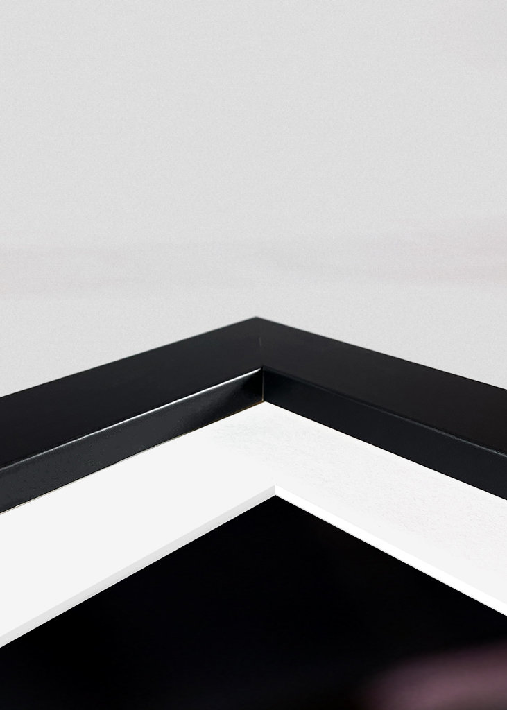 Family Snow drops is ready