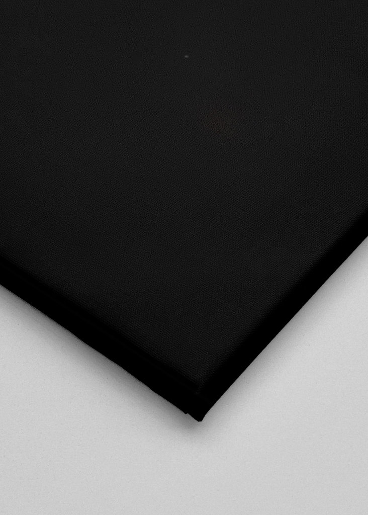 Phil Lynott - The Last Picture