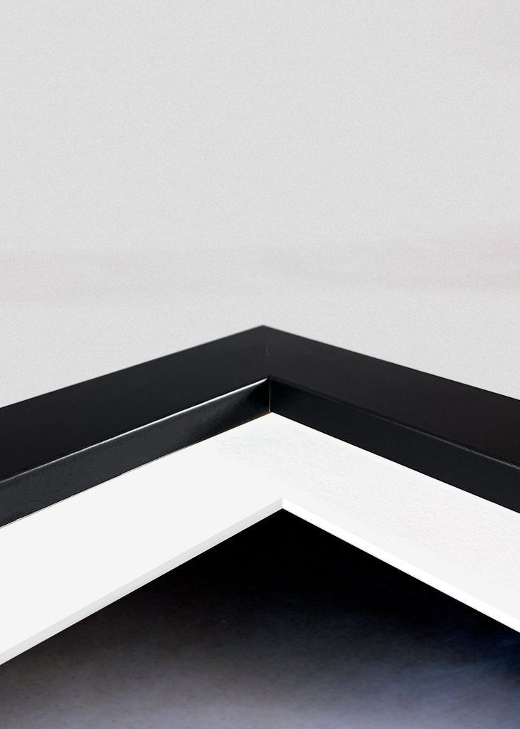 Phil Lynott - The Last Picture