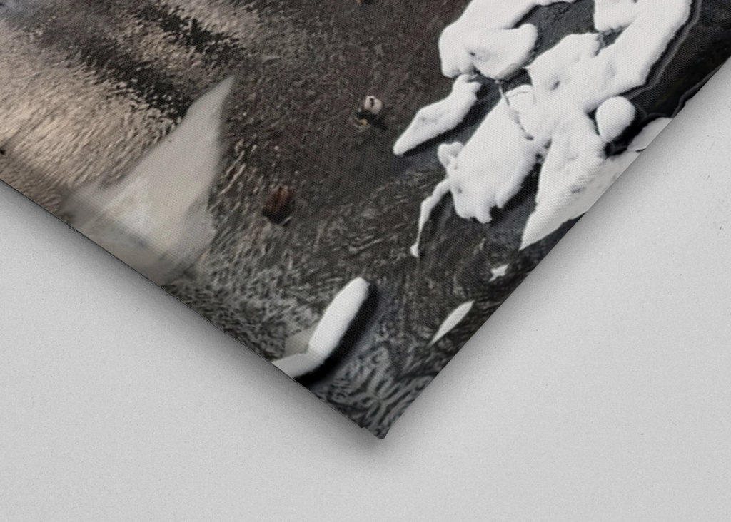  A cold winter's day in Sweden