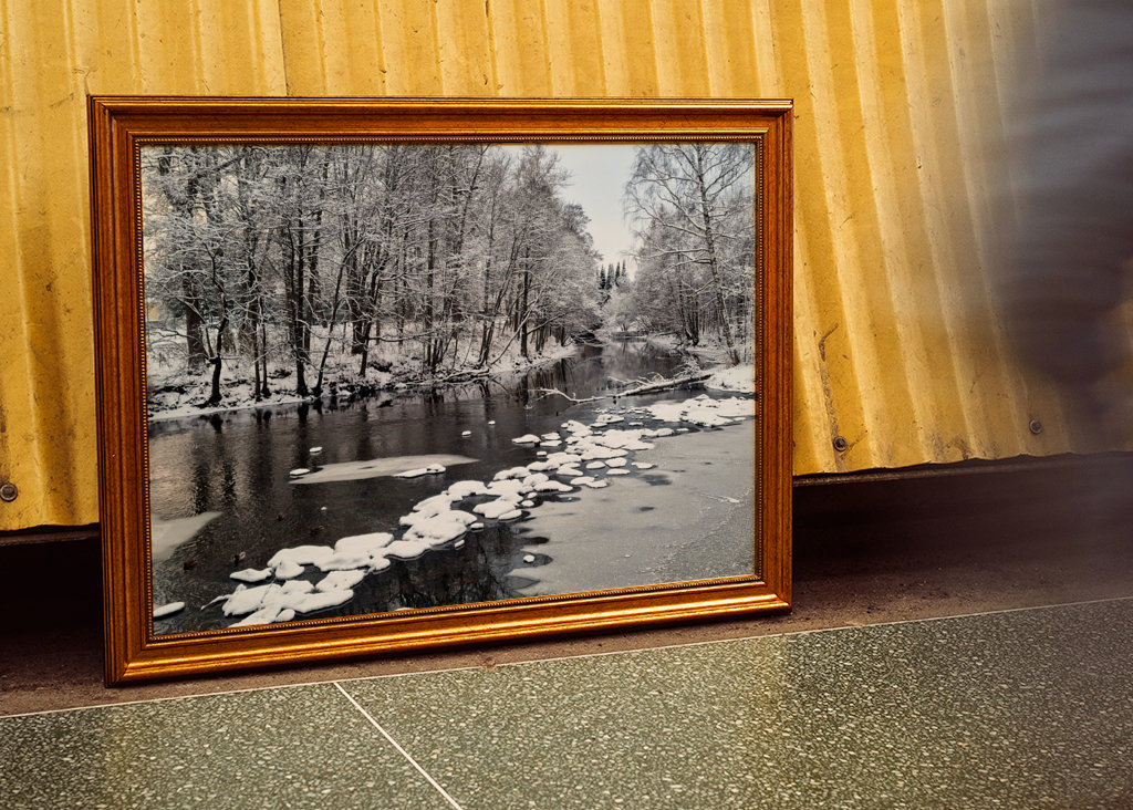  A cold winter's day in Sweden