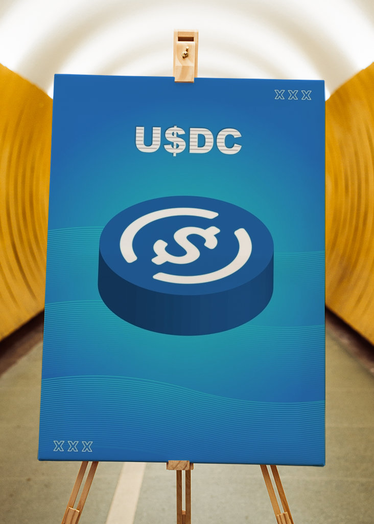 USDC Cryptocurrency Coin