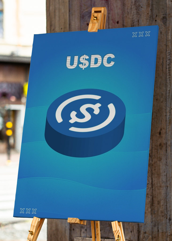 USDC Cryptocurrency Coin