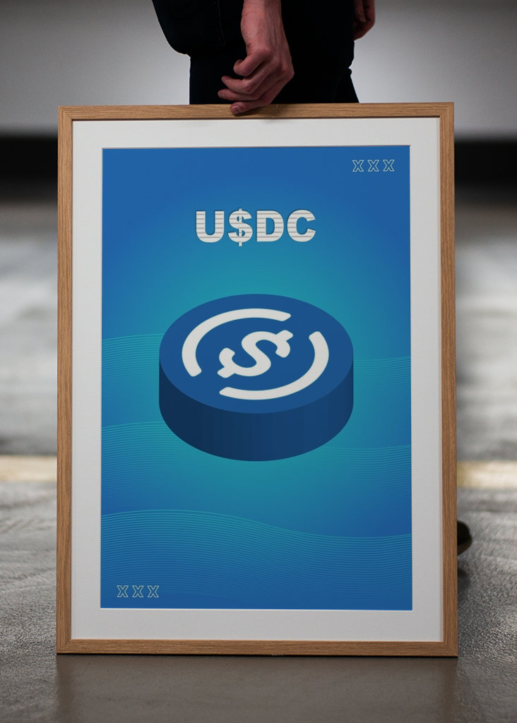 USDC Cryptocurrency Coin