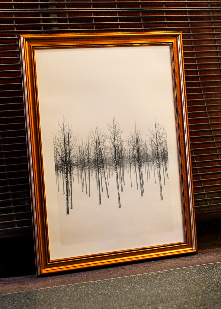 Plant nursery in snow & fog 03