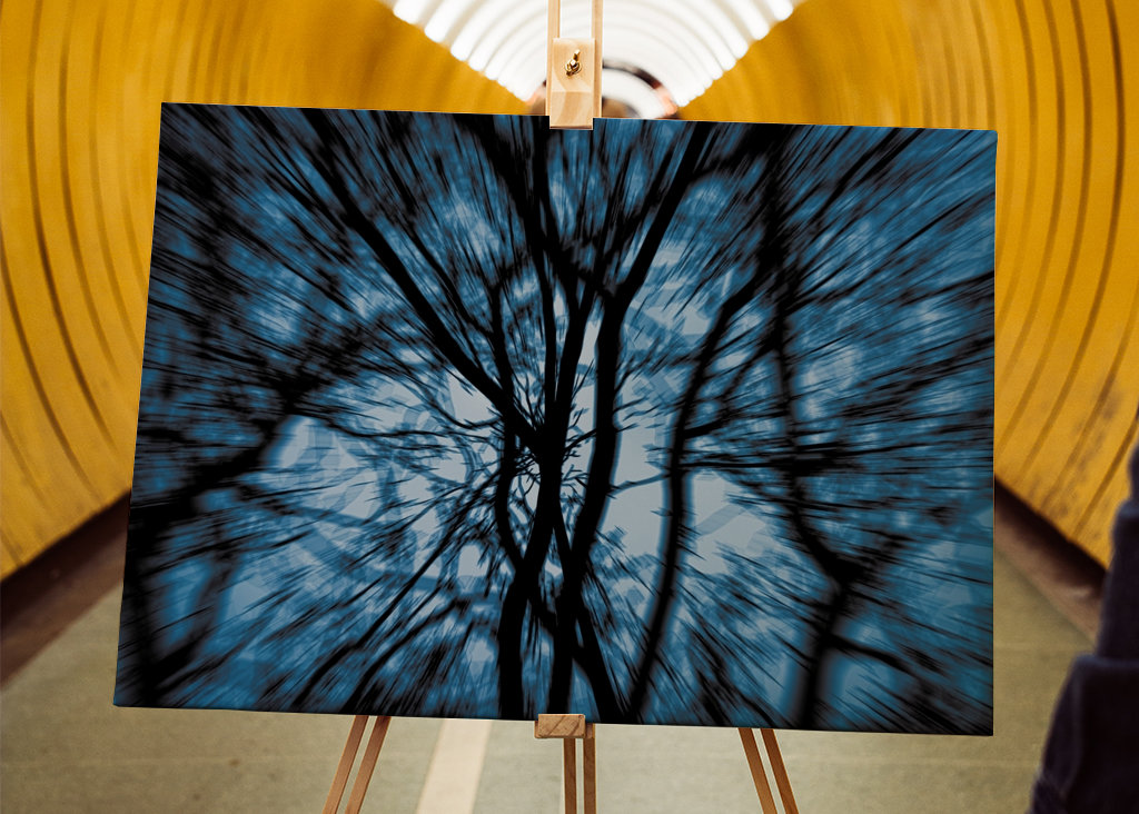 Magnetismus der Natur