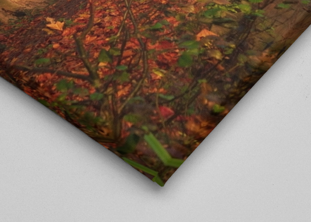 Dokonalá podzimní scenérie