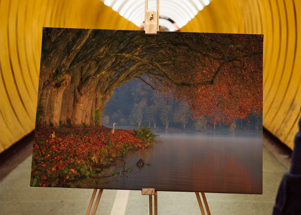 Dokonalá podzimní scenérie