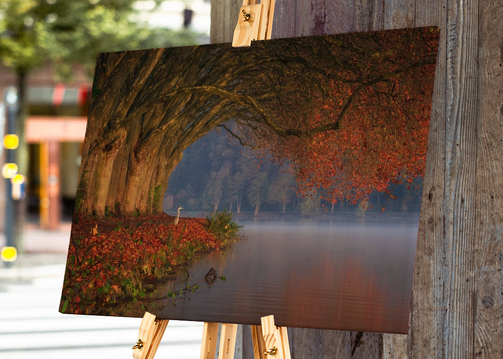 Dokonalá podzimní scenérie