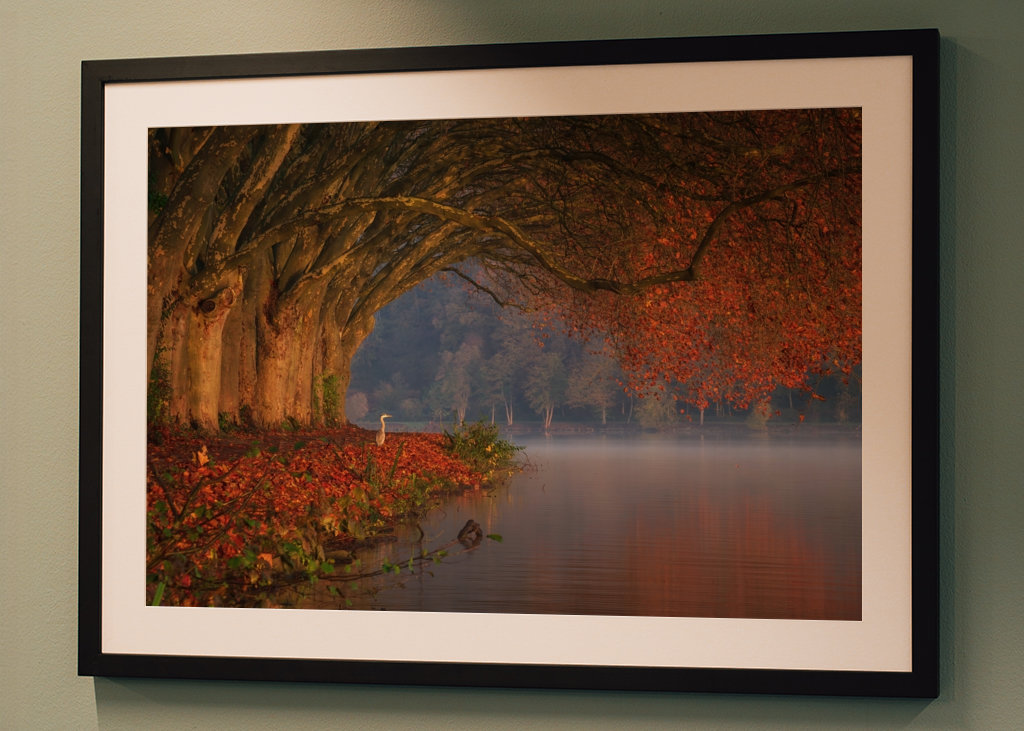 Dokonalá podzimní scenérie