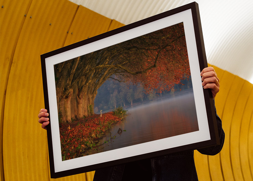 Dokonalá podzimní scenérie