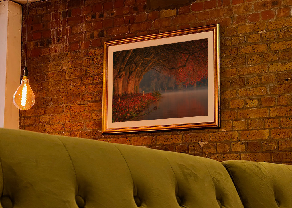 Dokonalá podzimní scenérie