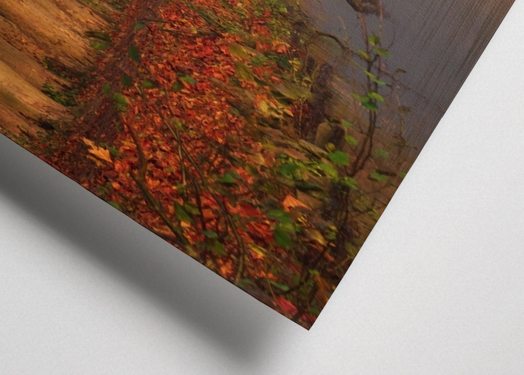 Dokonalá podzimní scenérie