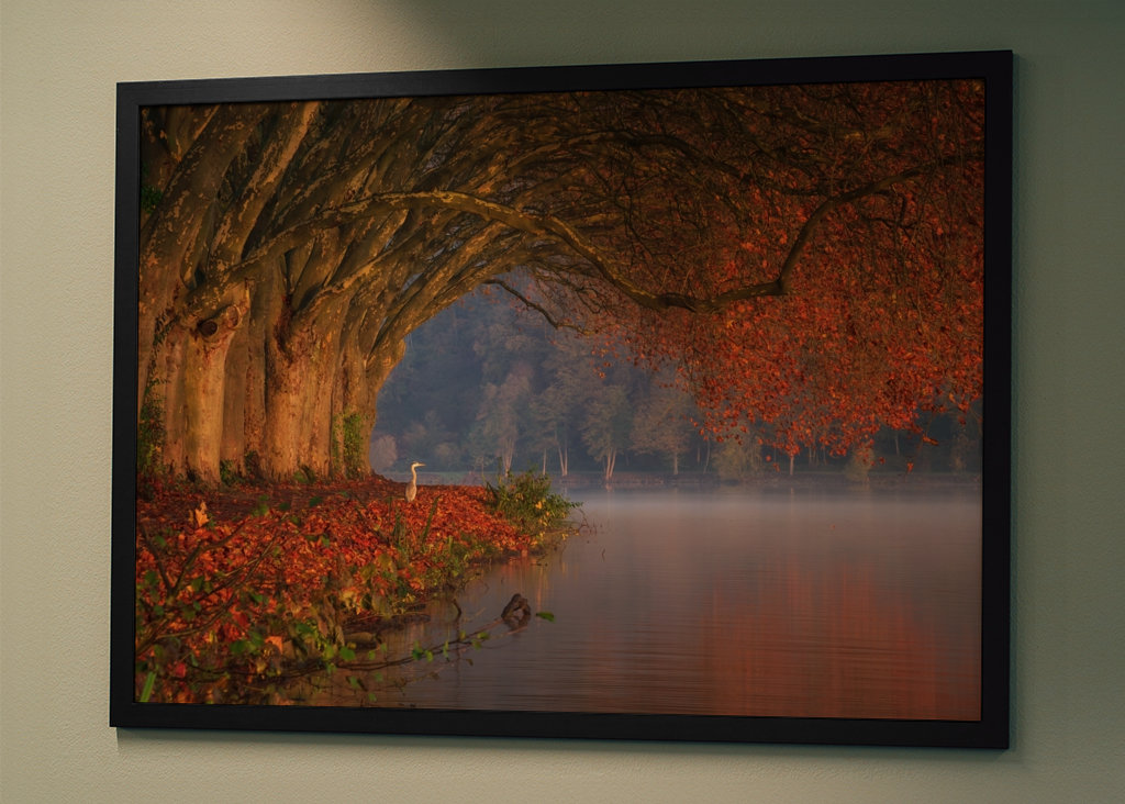 Dokonalá podzimní scenérie