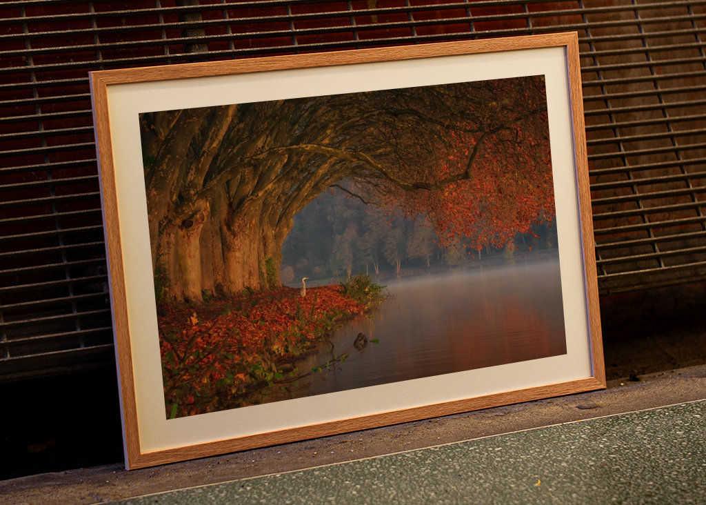 Dokonalá podzimní scenérie