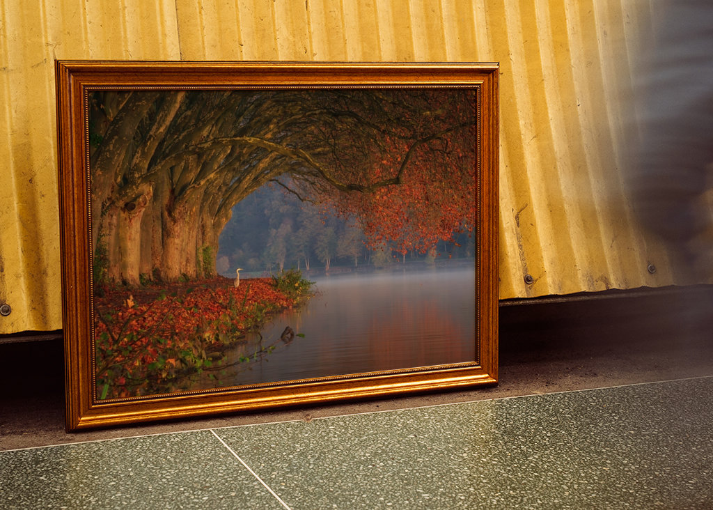 Dokonalá podzimní scenérie