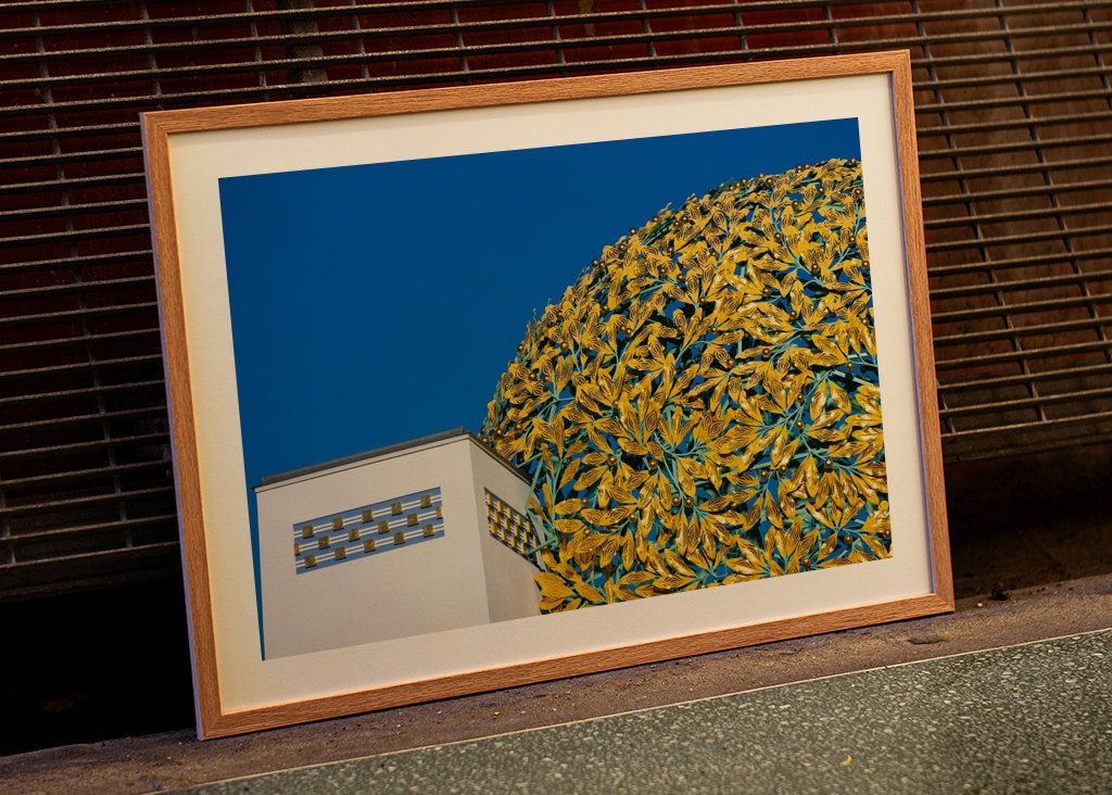 The Secession in Vienna 