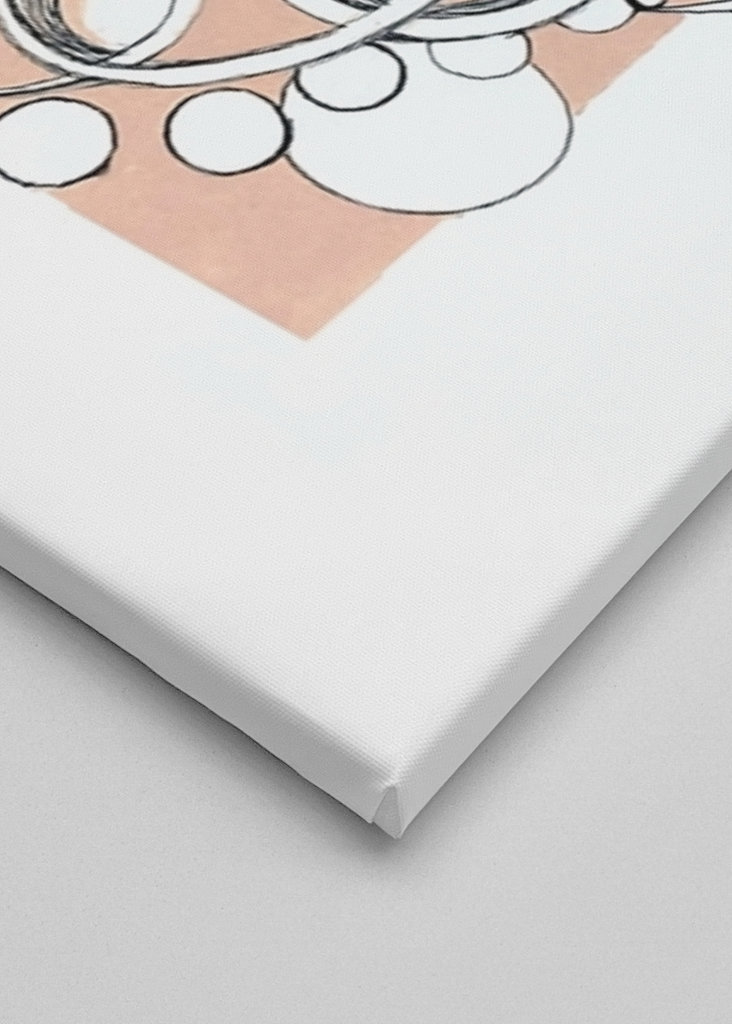 A Rosa e a Borboleta