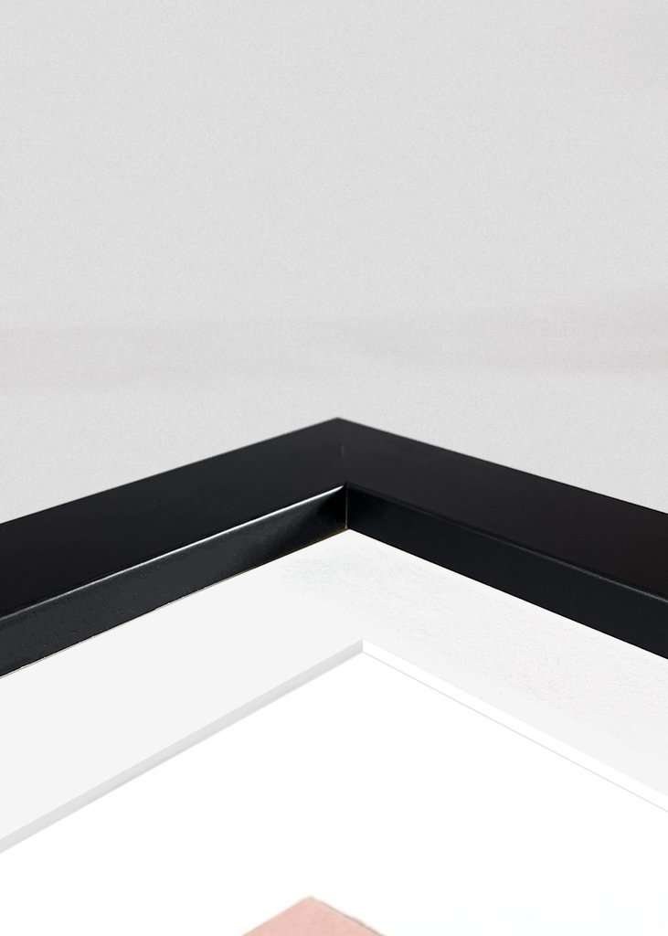 A Rosa e a Borboleta