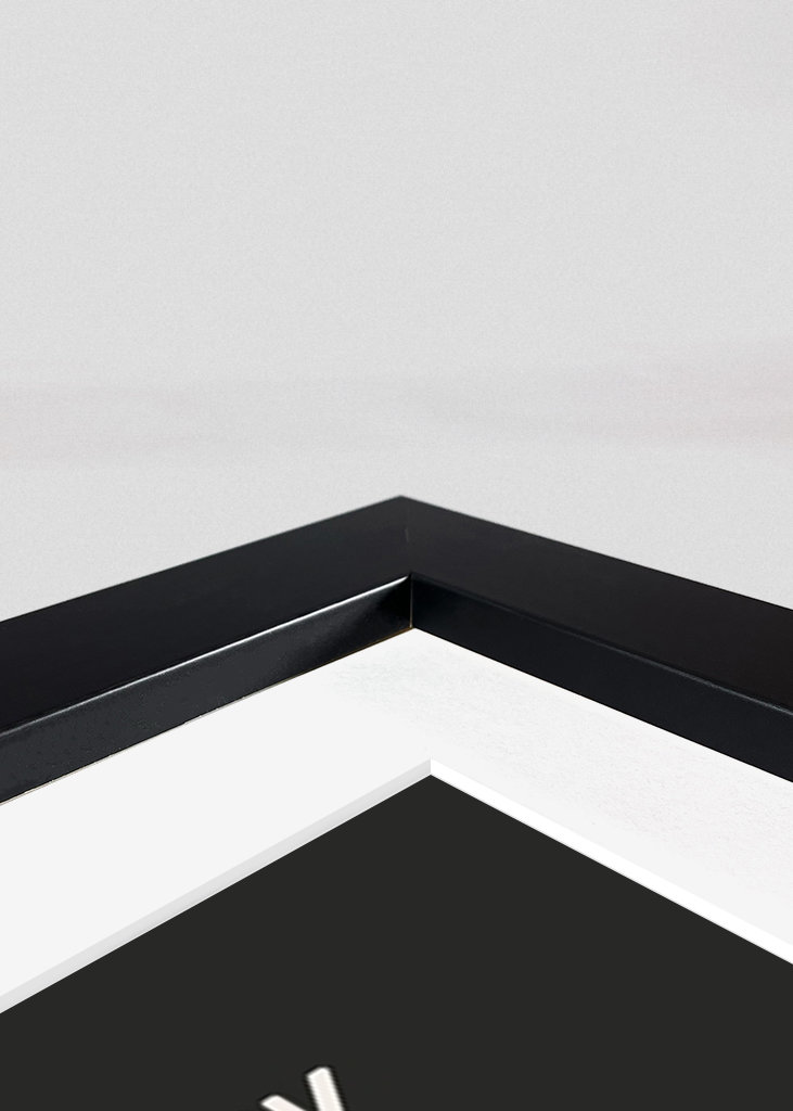 THE SHAWSHANK REDEMPTION