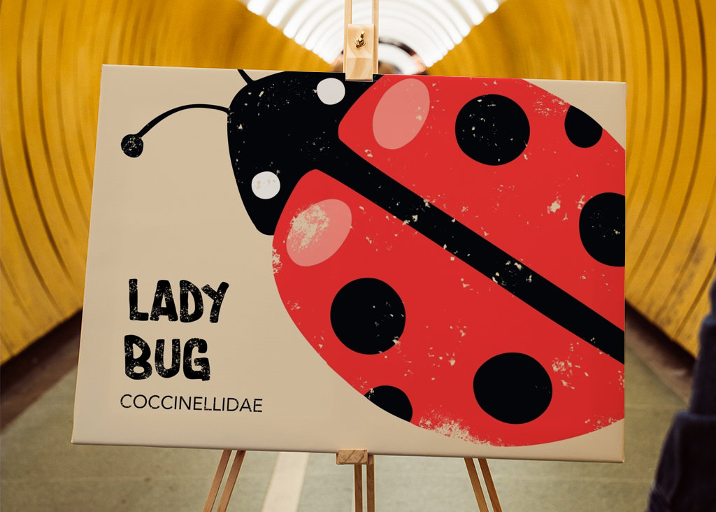 Ladybug