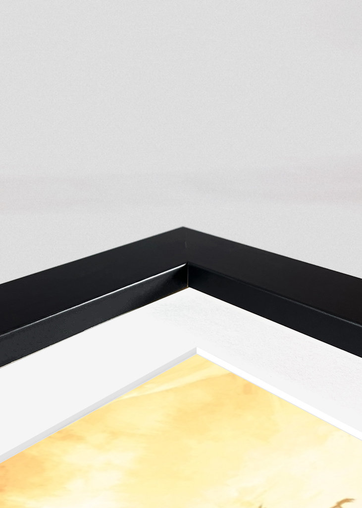 Zelda Breath Of The Wild