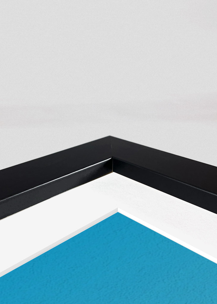 Campo di gatti e girasoli