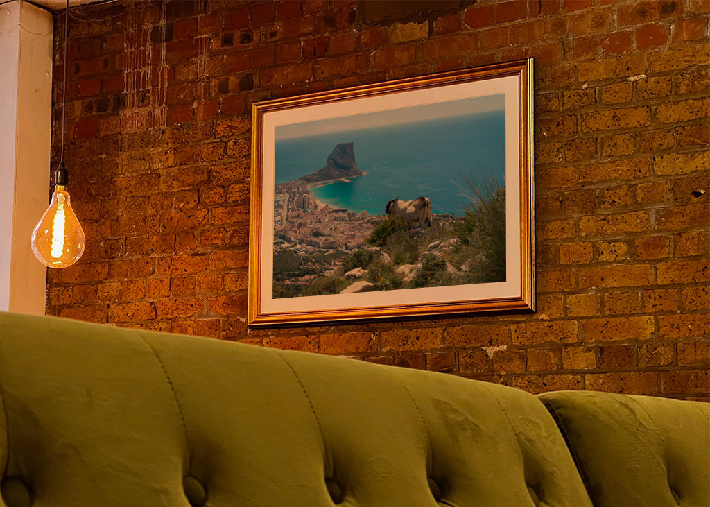 Macho de cabra montés en Calpe