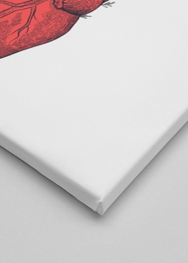 Herz mit Pfingstrosen