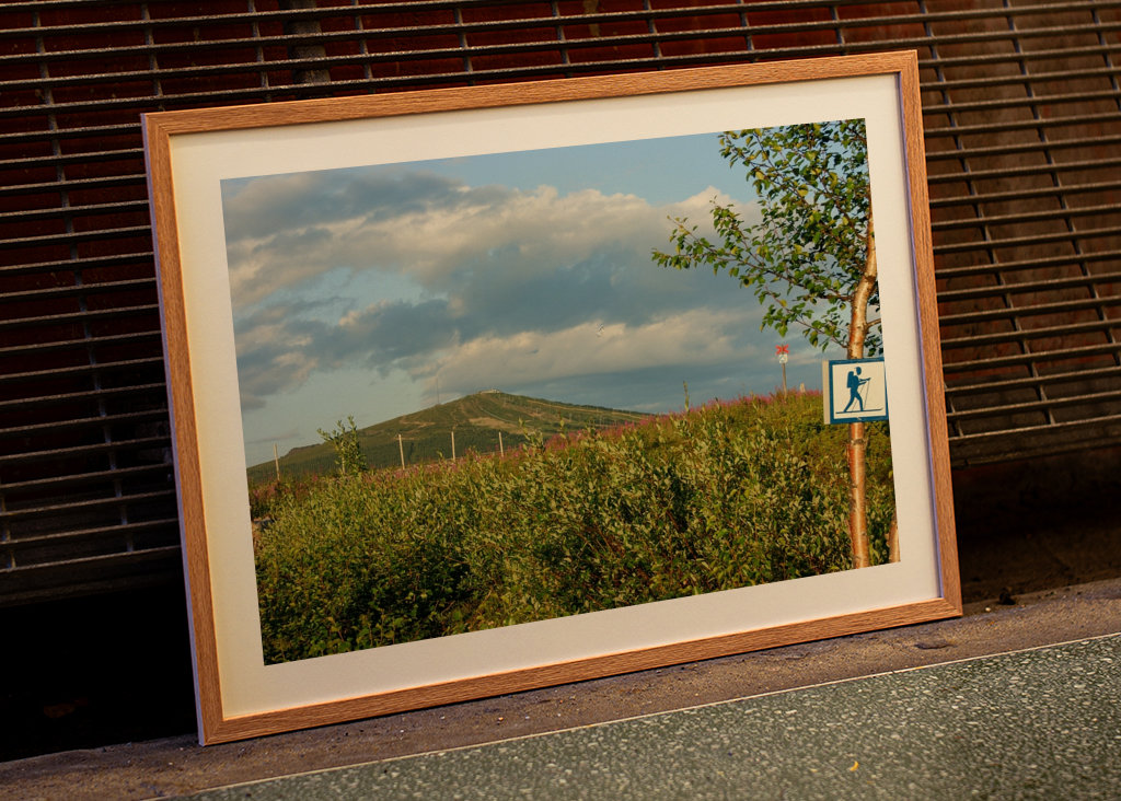 Ski tracks in summer