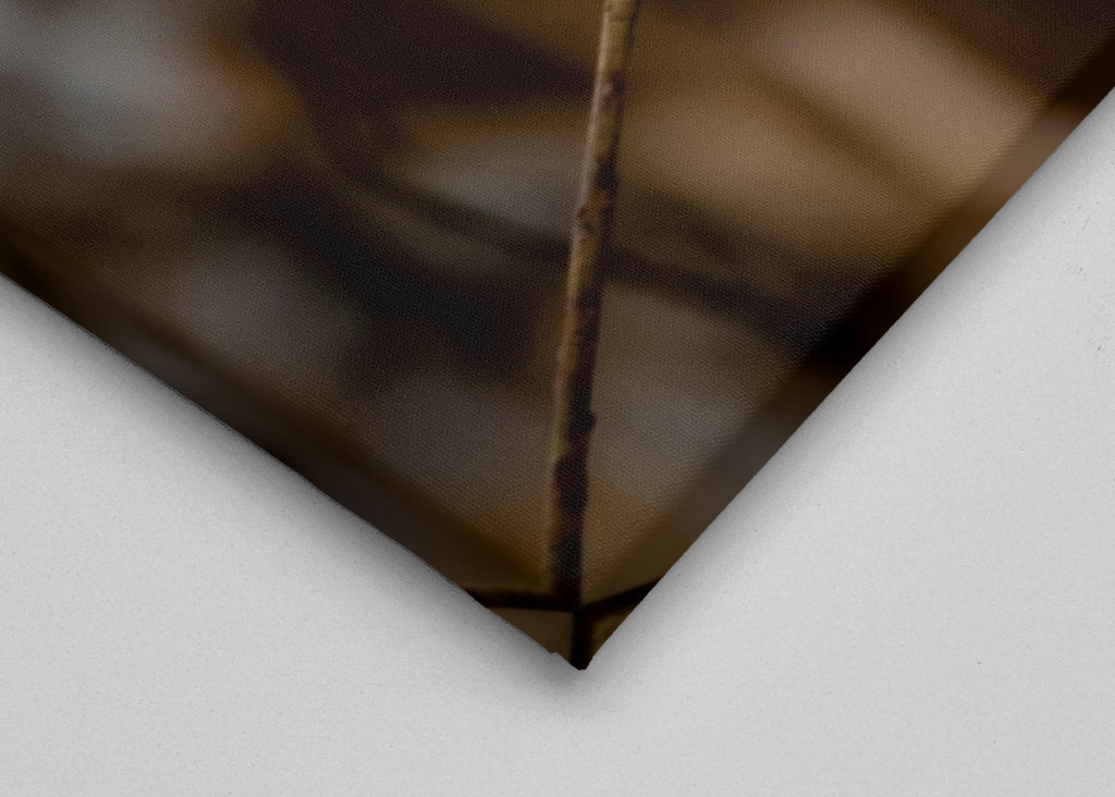 Kungsfiskaren på vasstråt