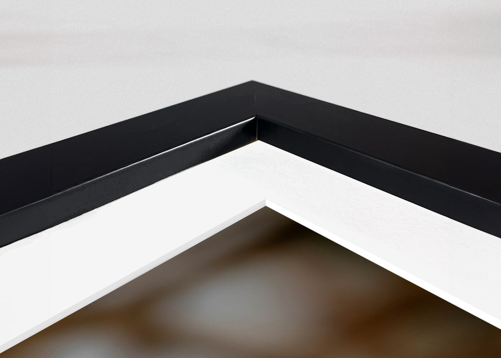 Kungsfiskaren på vasstråt