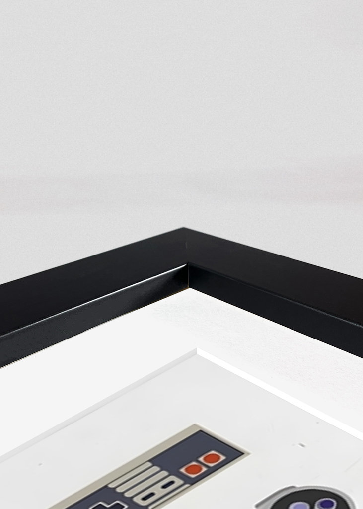 Video Game Controller