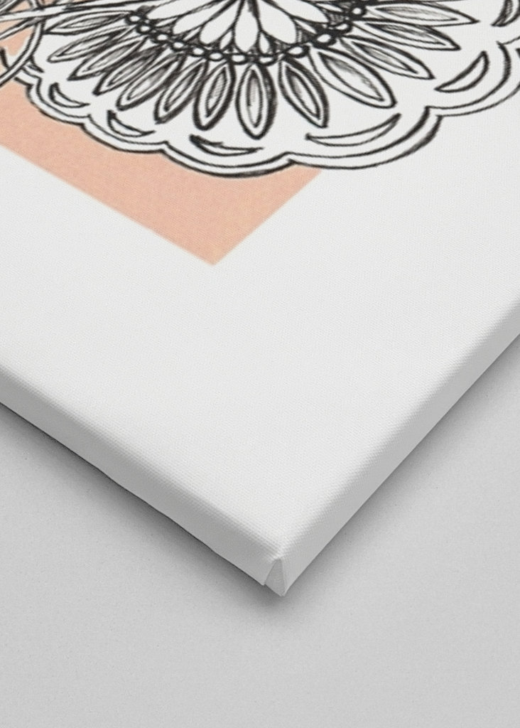 White rose and butterfly