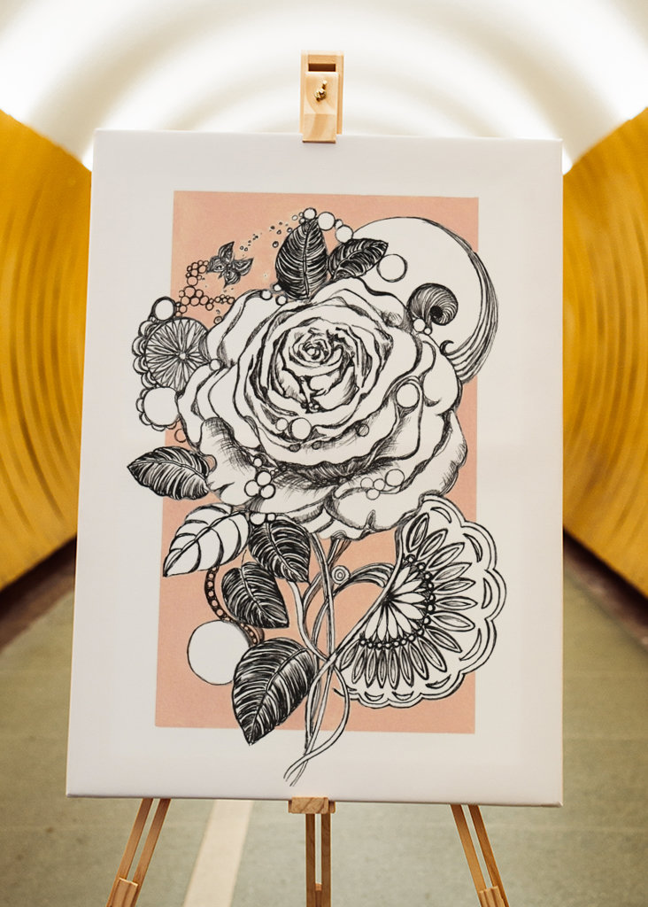 White rose and butterfly