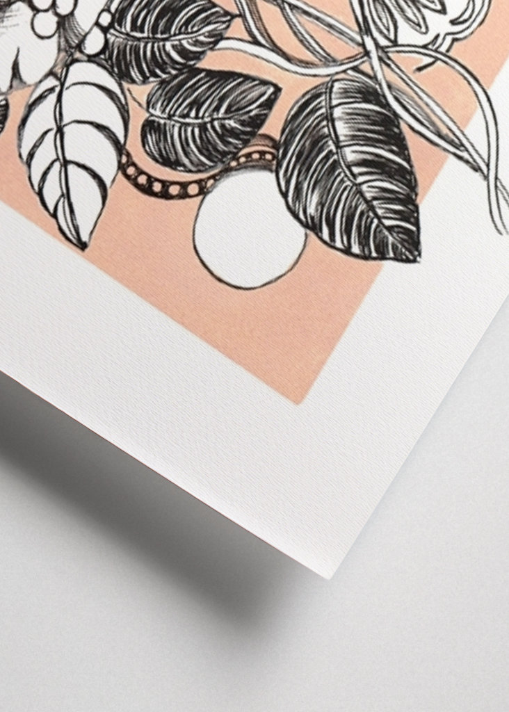 White rose and butterfly