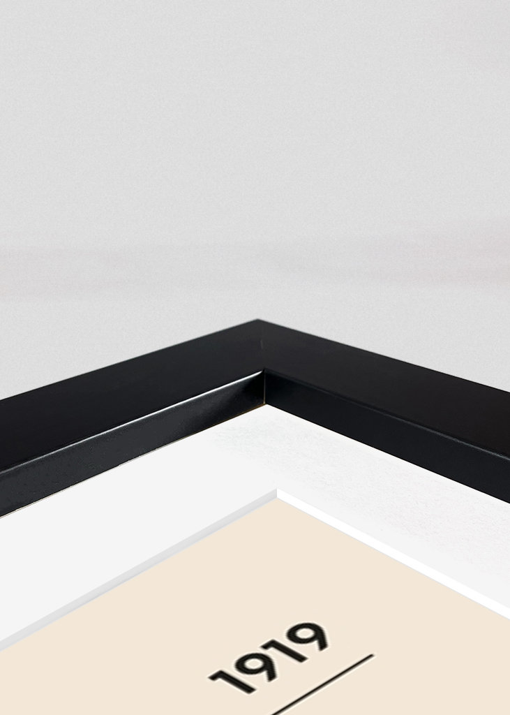 Bauhaus Black and White 1919