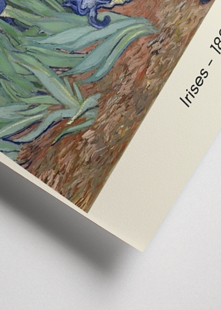 Van Gogh Irises 1889