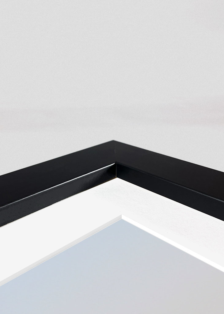 Kamel in der Wüste in Ägypten