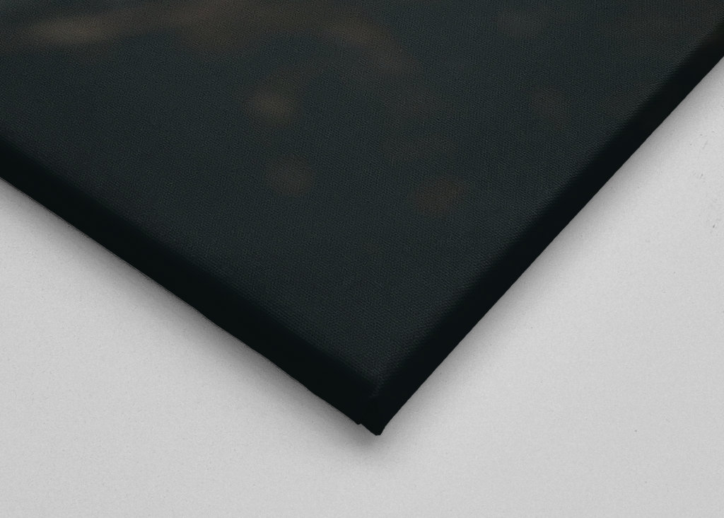 Afrikansk jättetusenfoting