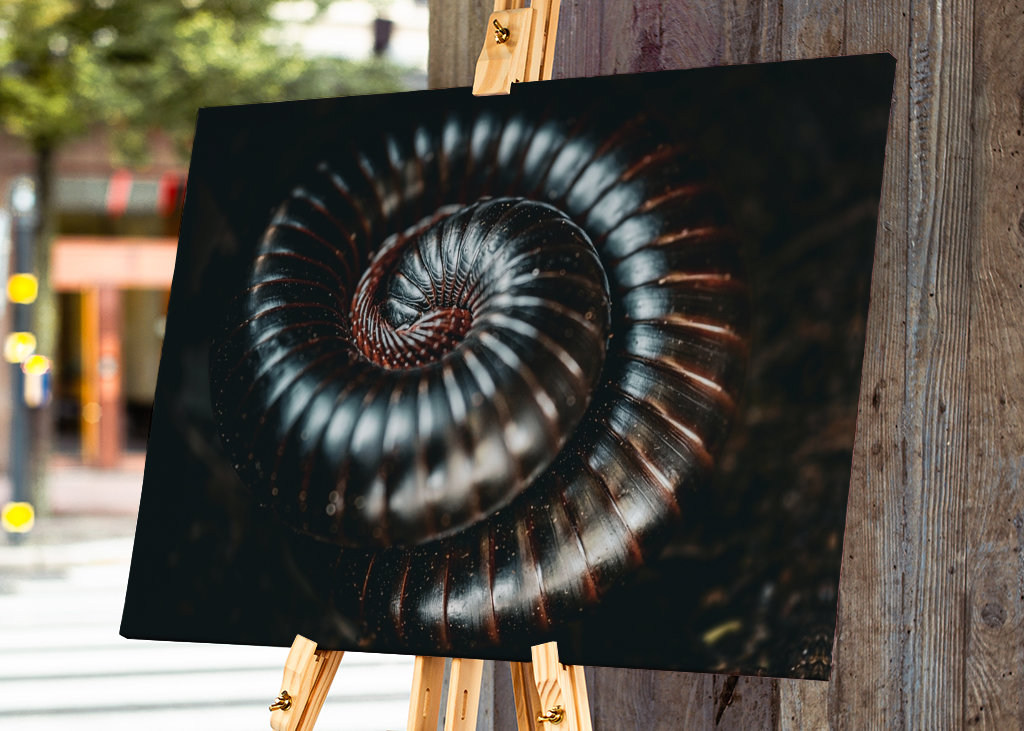 Afrikansk jättetusenfoting