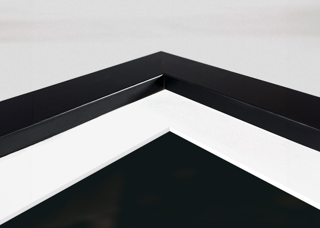 Afrikansk jättetusenfoting