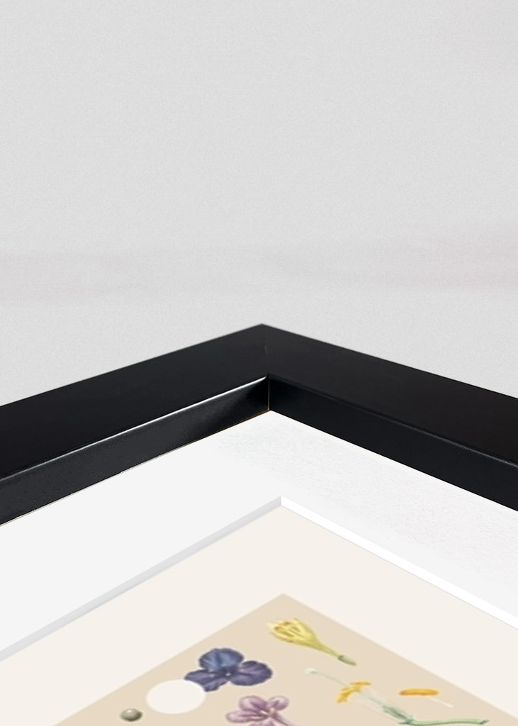 Butterfly and caterpillar