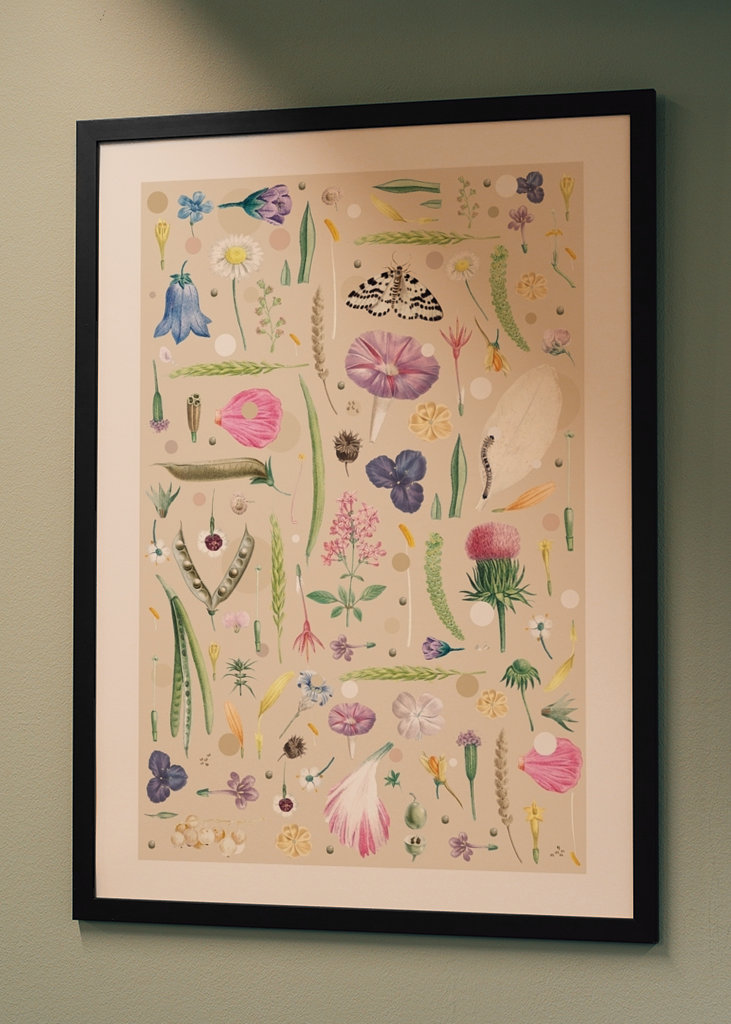 Butterfly and caterpillar