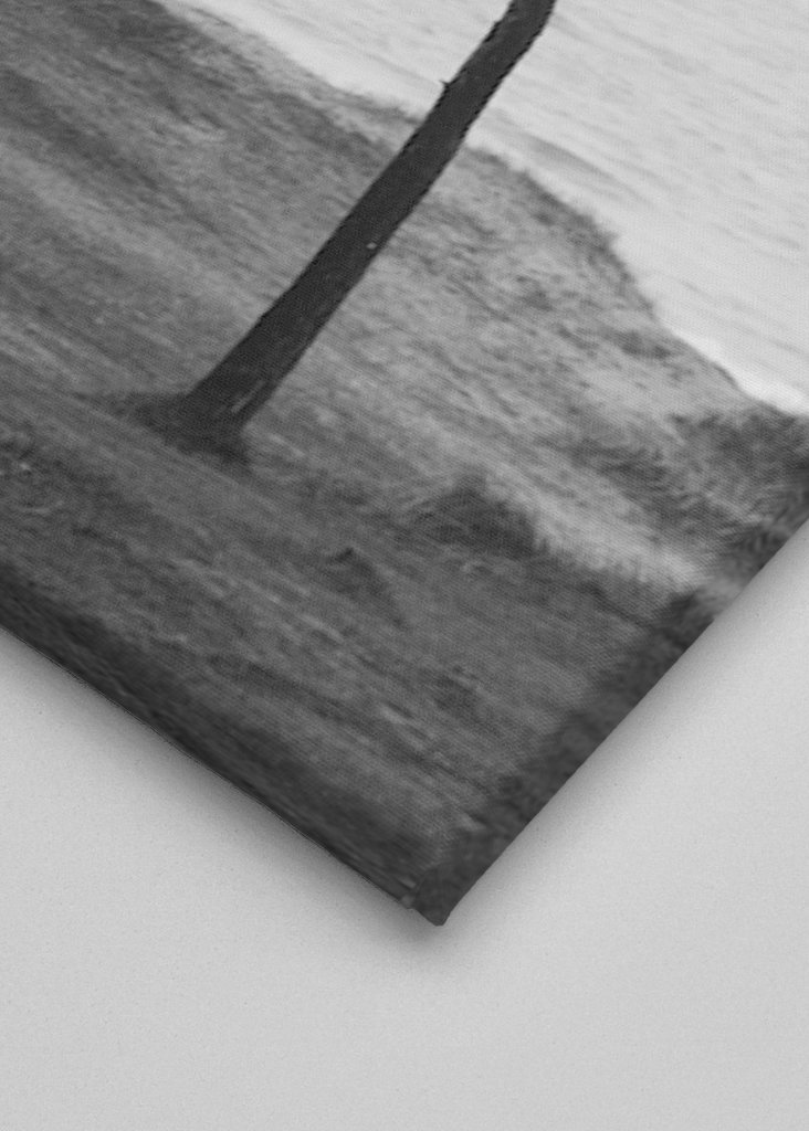 Treet på stranden 2