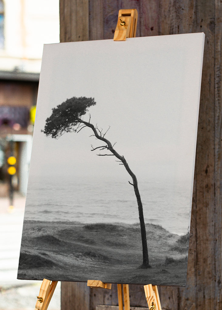 Treet på stranden 2