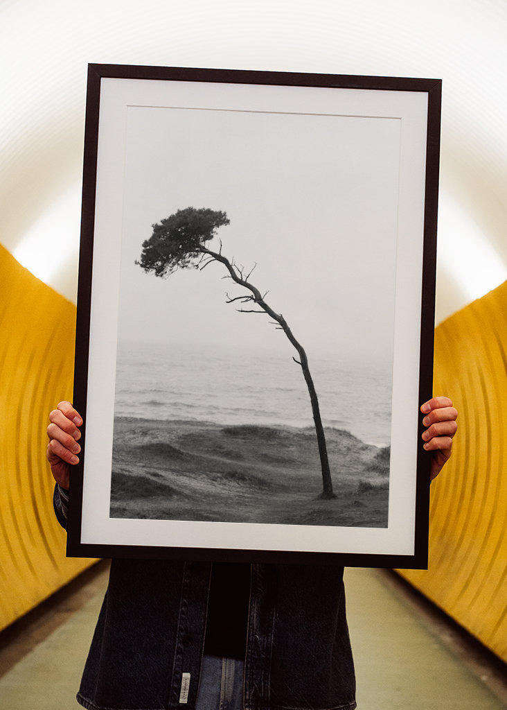 Treet på stranden 2